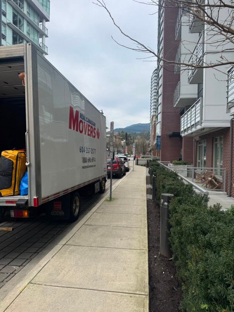 Junk Removal